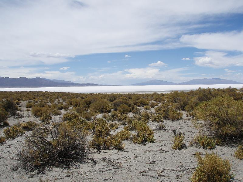 Coipasa Salt Flats (24).JPG